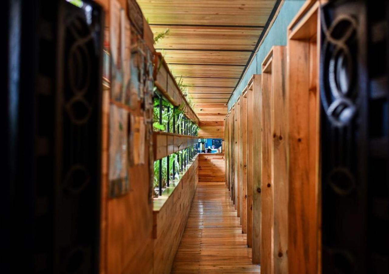 Mexico Hostel 외부 사진